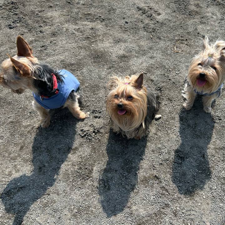 C301013d 1c32 4b43 a6ed 1bff59ab7323 1774753949381