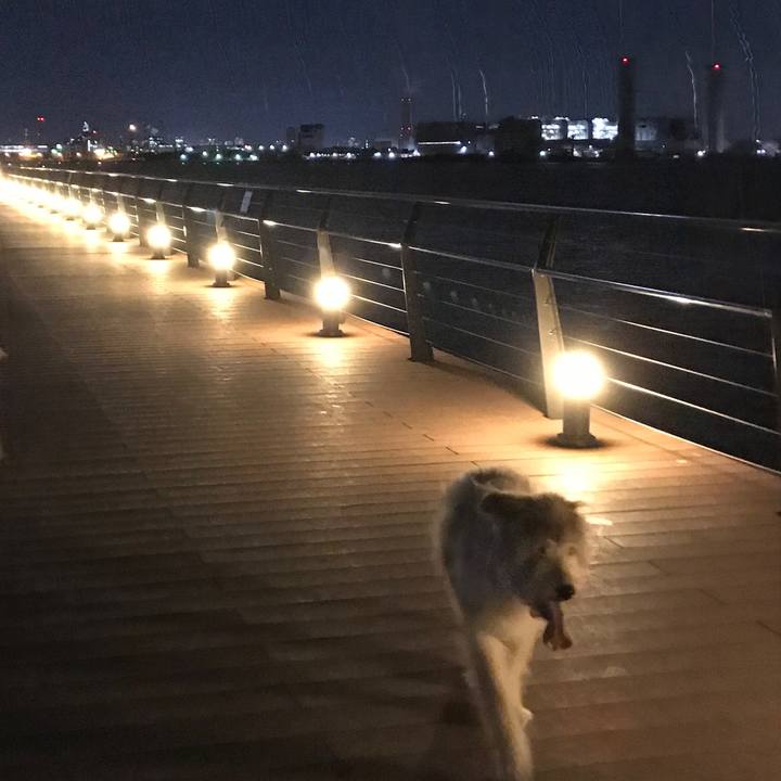 C3014786 6b9b 47e7 bafb 286984375ff9 1574058132107