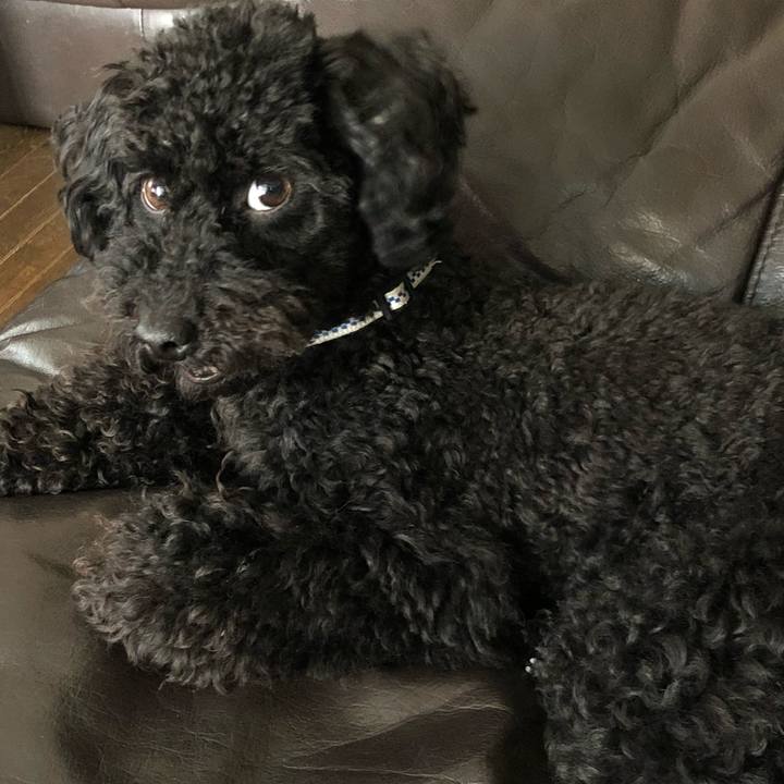 C30158e9 e124 48a8 9adc b88fb04e624e 1527336321833