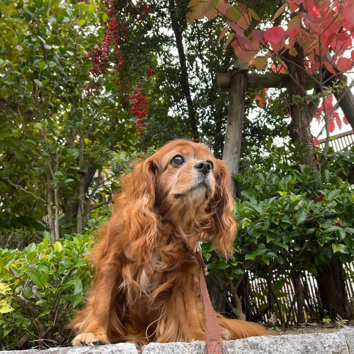 C30169c9 fdff 4b68 a4b4 6f83c2165678 1731716115751