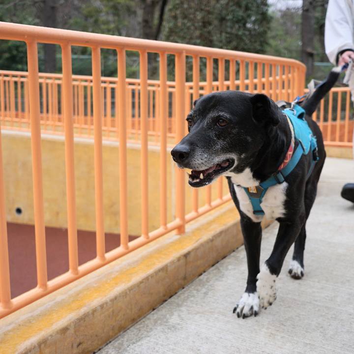 C3018881 26a2 4971 ae01 18234163aff3 1774224016670