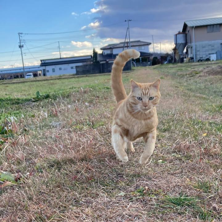 C301a6e3 2105 4777 a112 7637cf60d4ed 1764308161053