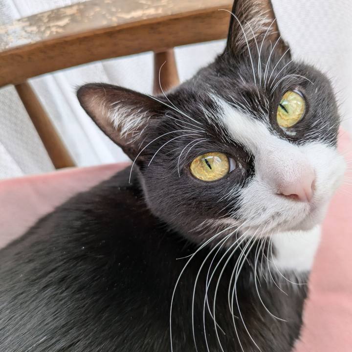 C301eab8 a964 42bb 9caf 6faa820df4b6 1734342007886