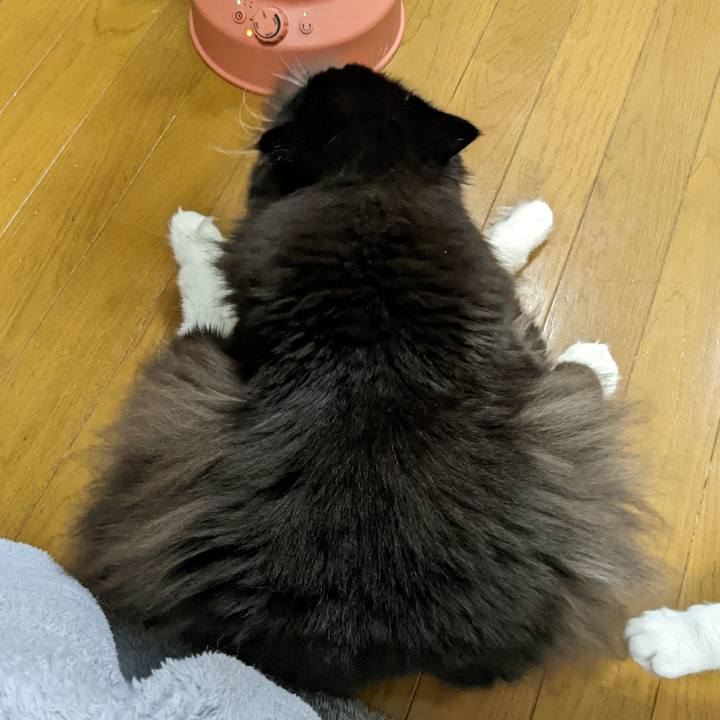 C30228c7 0b1e 4539 82d4 4d59fdb5057b 1668638852631