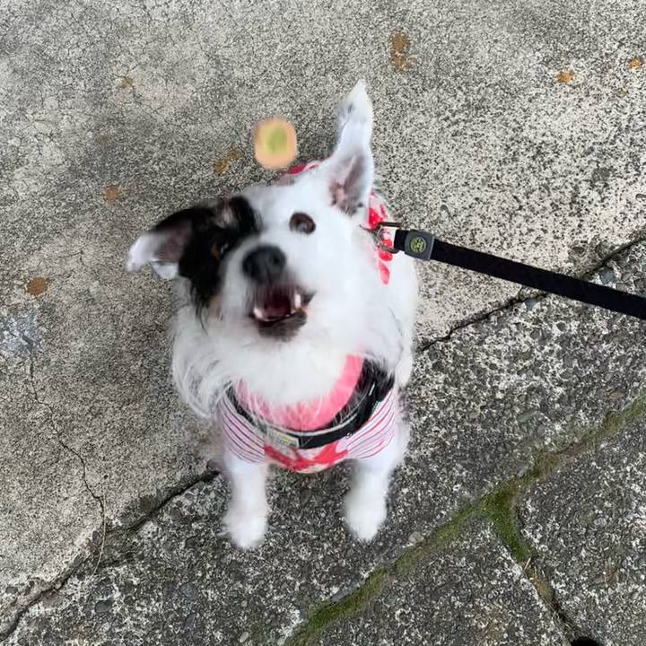 C3024603 f2dd 4ae3 b220 82c5d91b8363 1709166791736