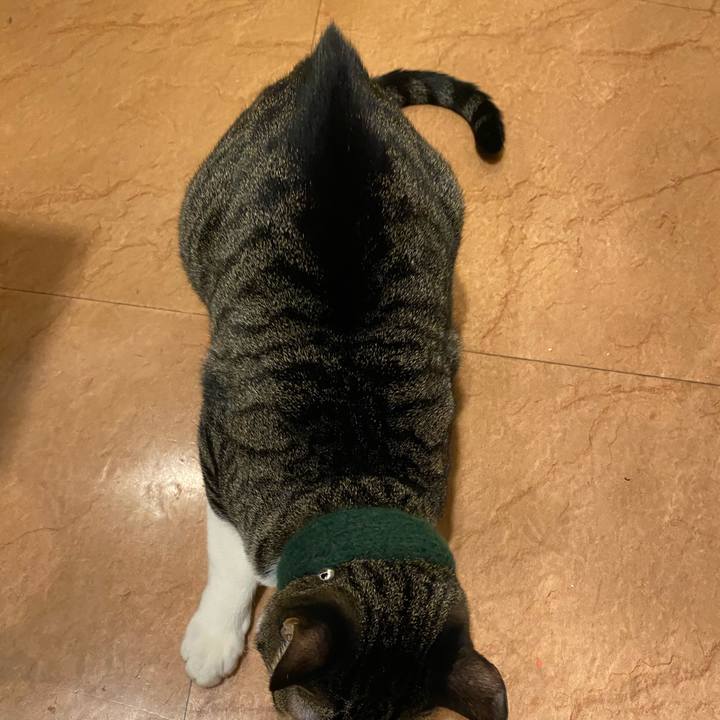 C302b8f1 2bdb 4d85 b04f 98e29412bc8e 1700124698028