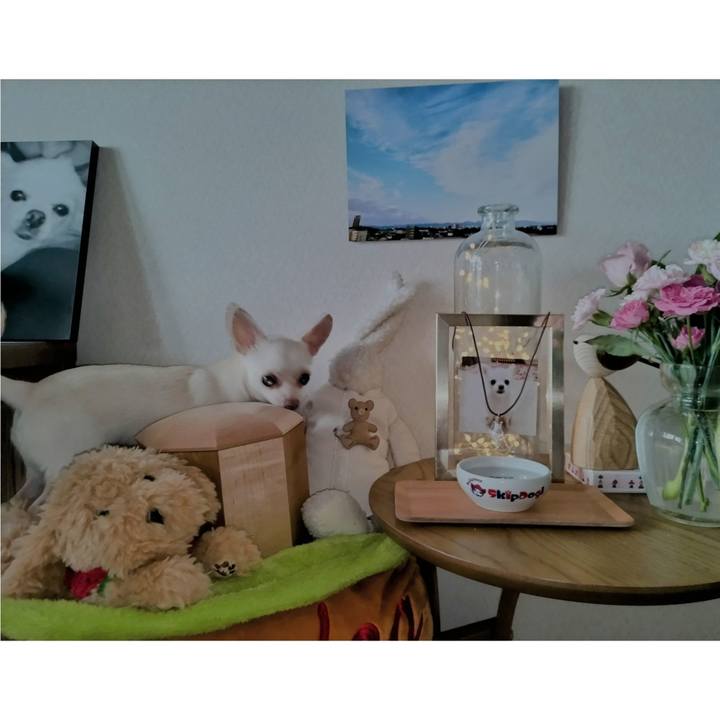 C302caf4 5548 4e09 a1ac bd37fb5949fc 1719693705320