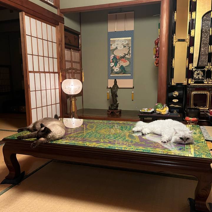 C30300d9 b279 4fb6 be07 5f727ba91914 1755088616049