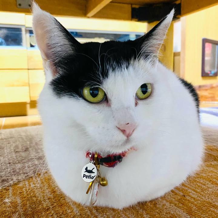 C3034a70 46fb 47f9 97e4 7720aa72cab0 1715696755960