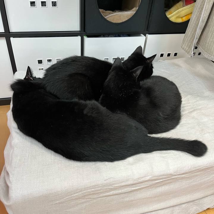 C3034dd8 7bfb 4bcb ab04 3855442d9c03 1724846429602