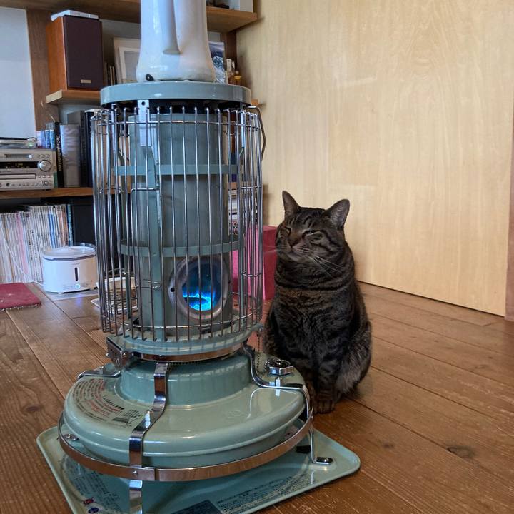 C30368cd bba5 42db 828d 18e0a9e11037 1710160990859