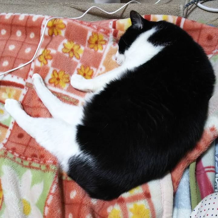 C30378ea 9ae2 4dc4 bab5 8b3f8e56a285 1526828772366