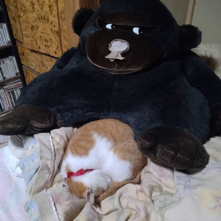 C3038ad4 91bf 4af6 8ec7 2a35aded3c6e 1761218728558