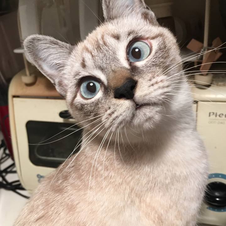 C3038f7d 5e7e 4e4e 8690 885ee0827d35 1544695118059