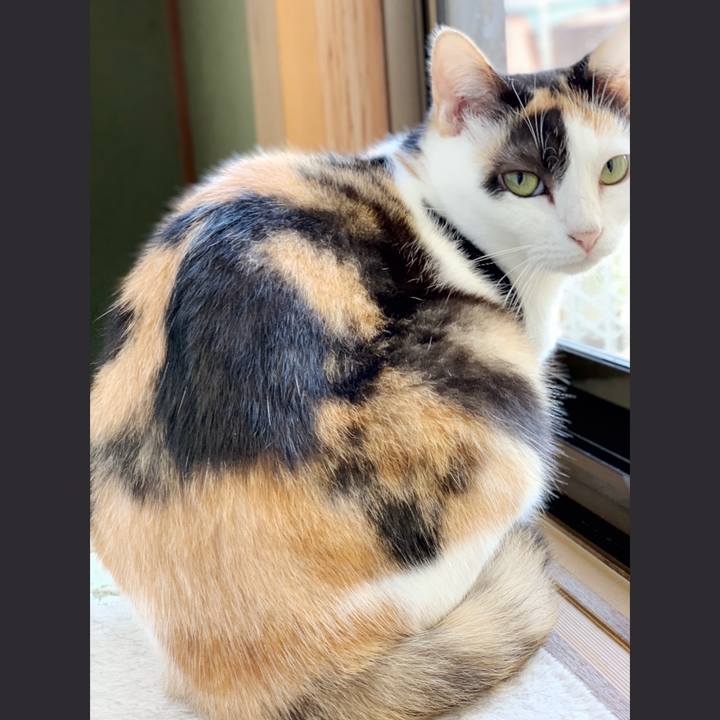 C303a3d1 dc5d 40d7 a2c8 3b86dbbadc1e 1540781535265