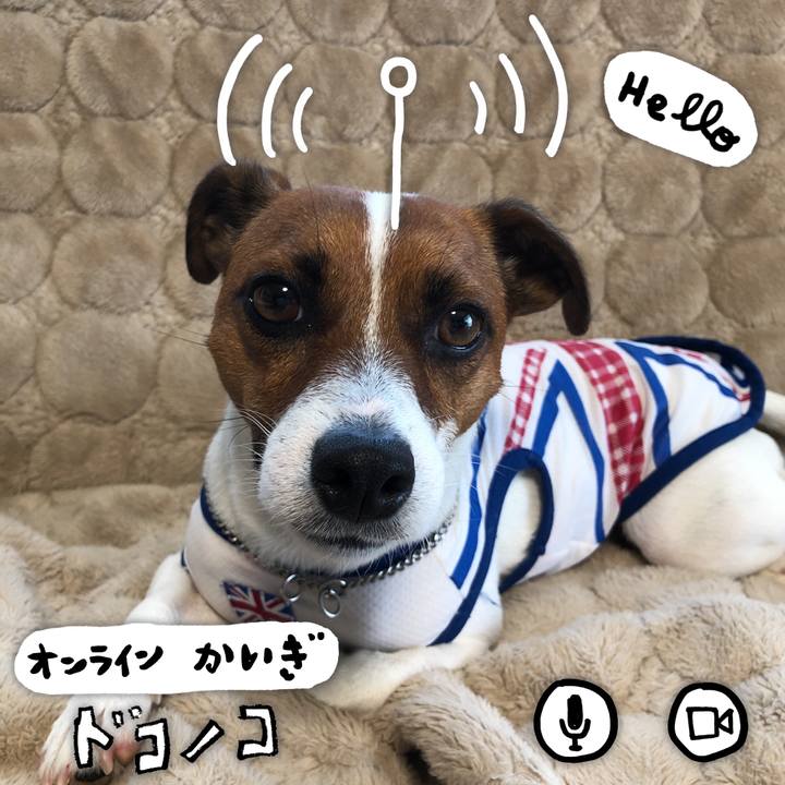 C303b1f5 565b 444f ac46 bf7db0f53f8a 1590800845430