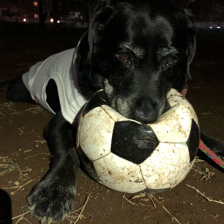 C303b8ca 7926 4e10 b635 49d8789c043e 1617106529230