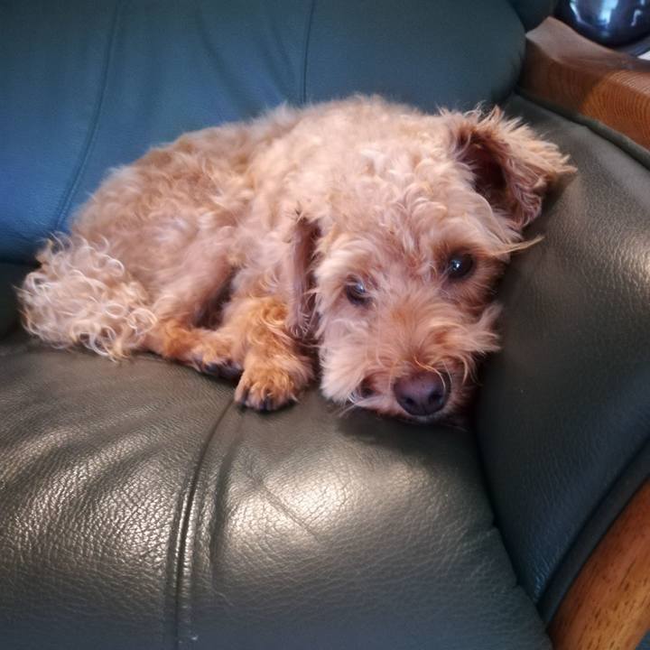 C303e4ea c0d3 4f5d 89f9 79f697417385 1532904440398