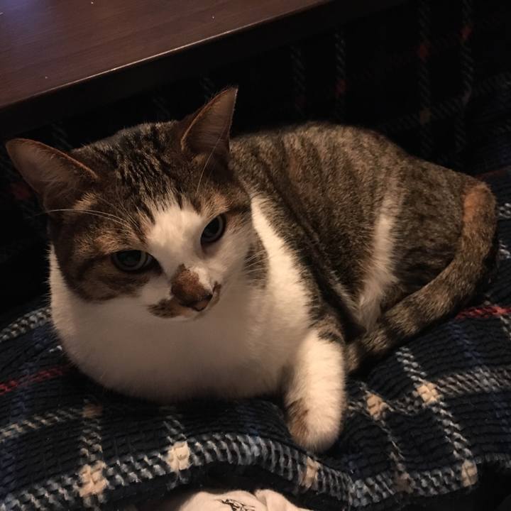 C303e544 0d23 409d aa0a 6e8aaa21afcd 1513669453937