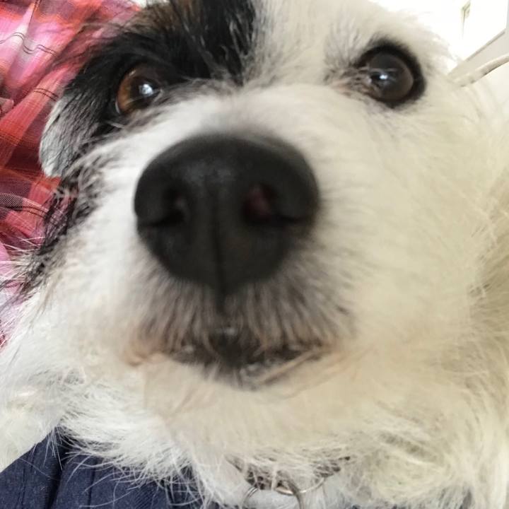 C304181a 5480 41bb 85bf e924d0f35648 1524015276207