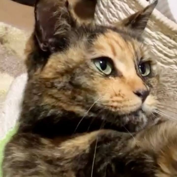 C3042944 e226 48bc 83f4 527775b24203 1732644711462