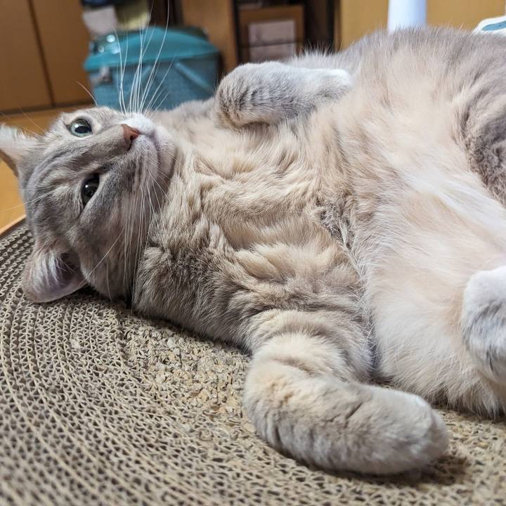 C3048b48 7b70 4bbf a9fc 2c110361509b 1711852979721