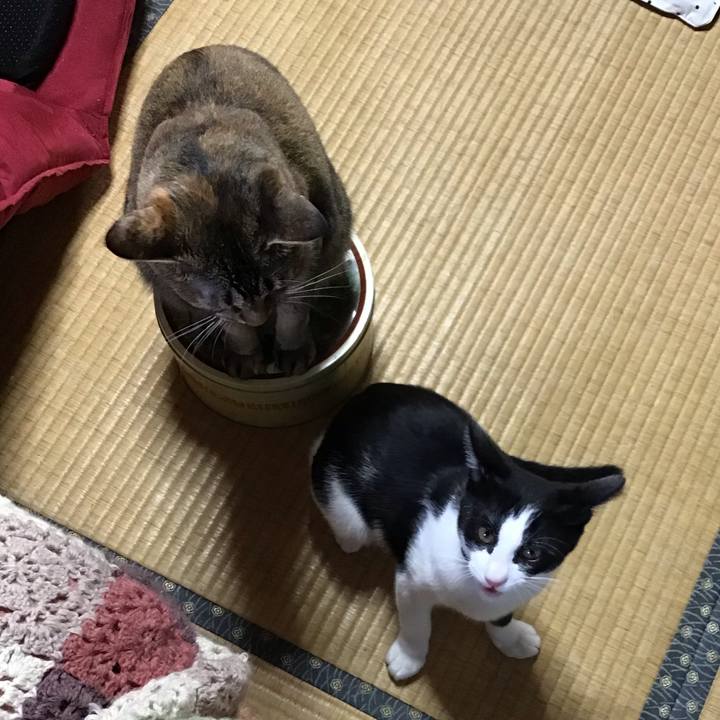 C304b728 f432 4f56 ba8d fb4717004960 1631522711667