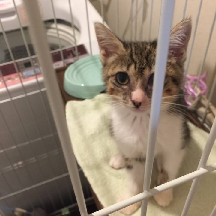 C304c84a f9e1 40ff b15a e5a922cb0eeb 1534150165562