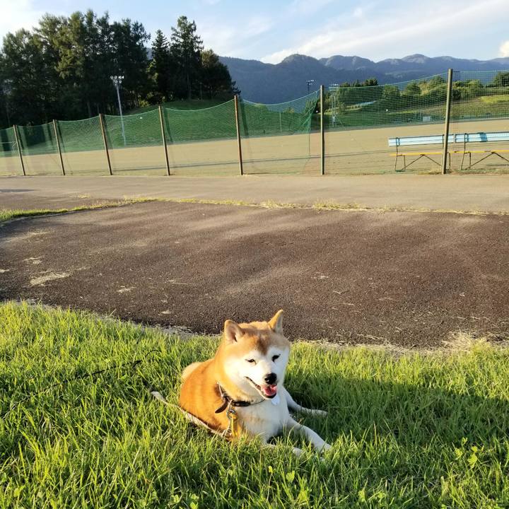 C304dd00 1c13 49b7 9b63 9d10de571cde 1632728610196