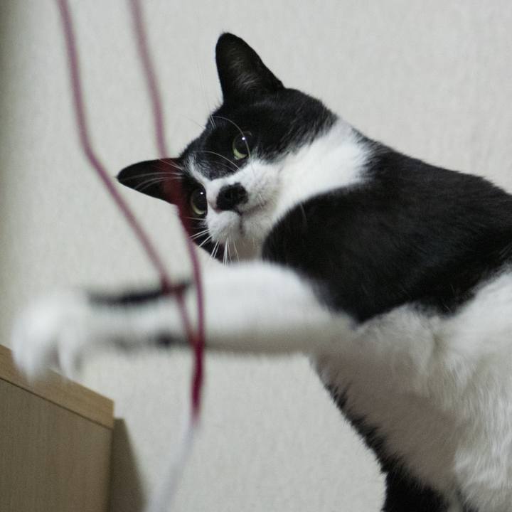 C304f979 9dbd 4d0e b2f6 ece52c4c8866 1556072574621