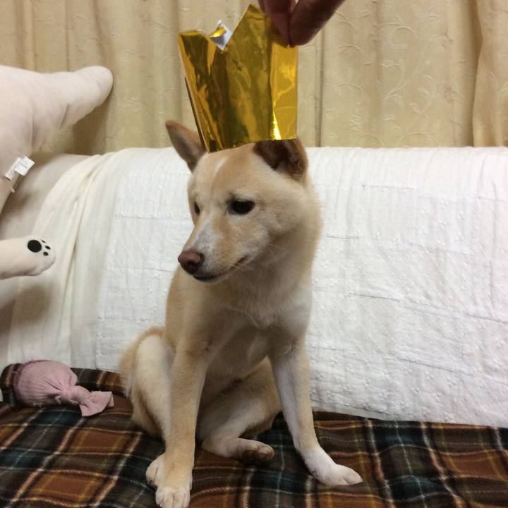 C304fc9d 88c1 4e7d 9115 5c8ffeb685e9 1509451805176