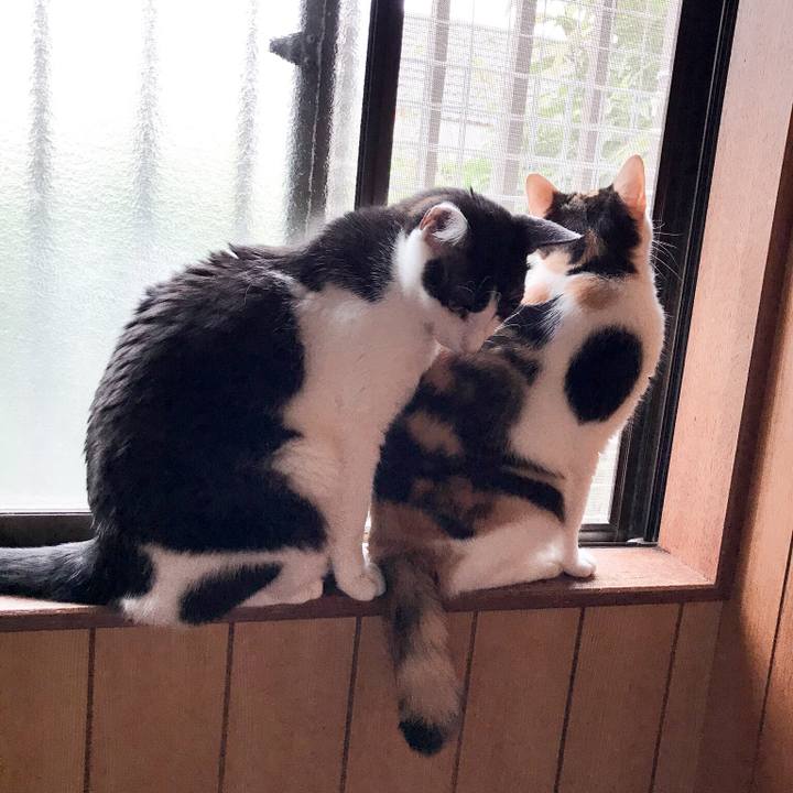 C30508ce fbe1 475c b7cb 645e8bcf99f6 1531098618546