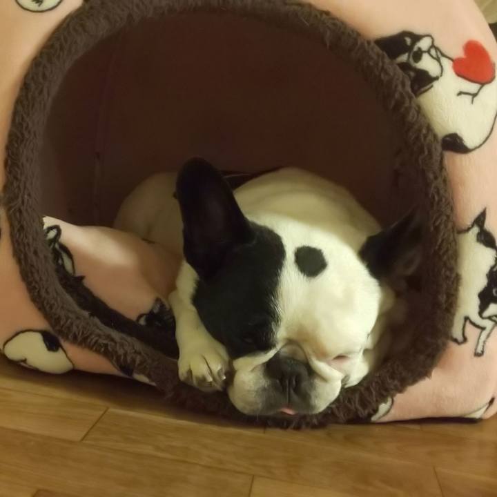 C30556b1 6626 4b71 bc26 2496958480bd 1633354311724