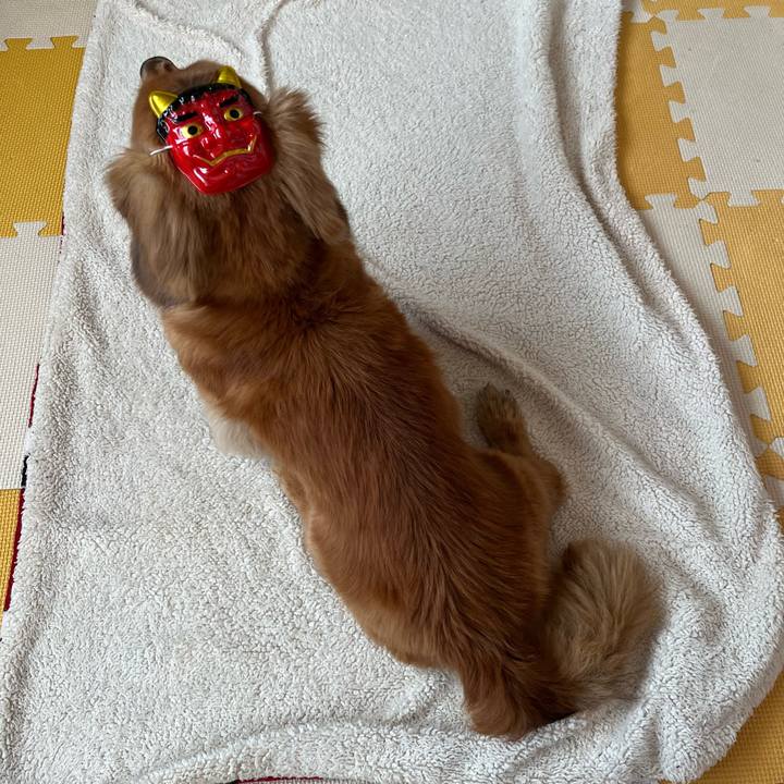 C305755c 4414 41d7 b2ac 6d4321da4c4f 1643885199270