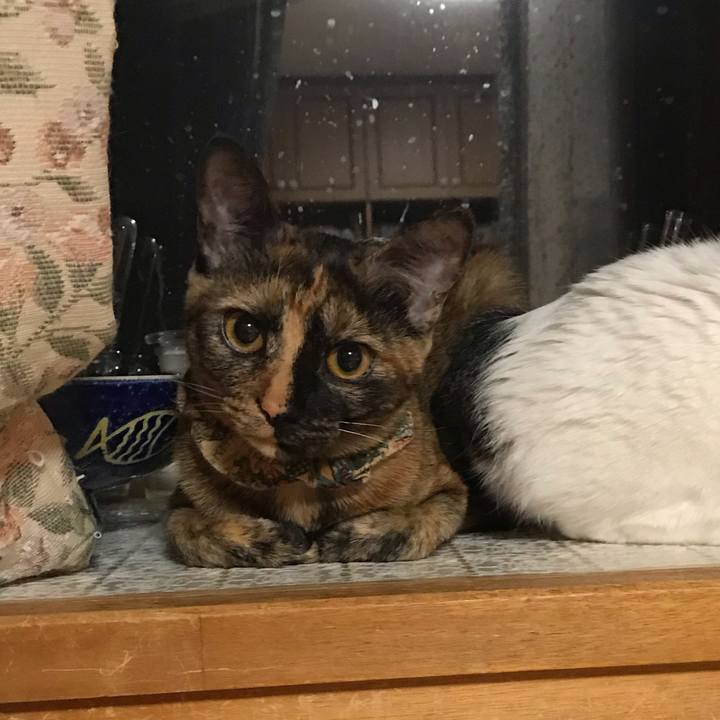 C3058d1c 717d 4913 be86 1a08ddf4340f 1619868013241