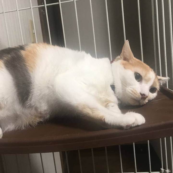 C3058dfe e47c 47e1 8287 1b10e53c5e04 1546954472207