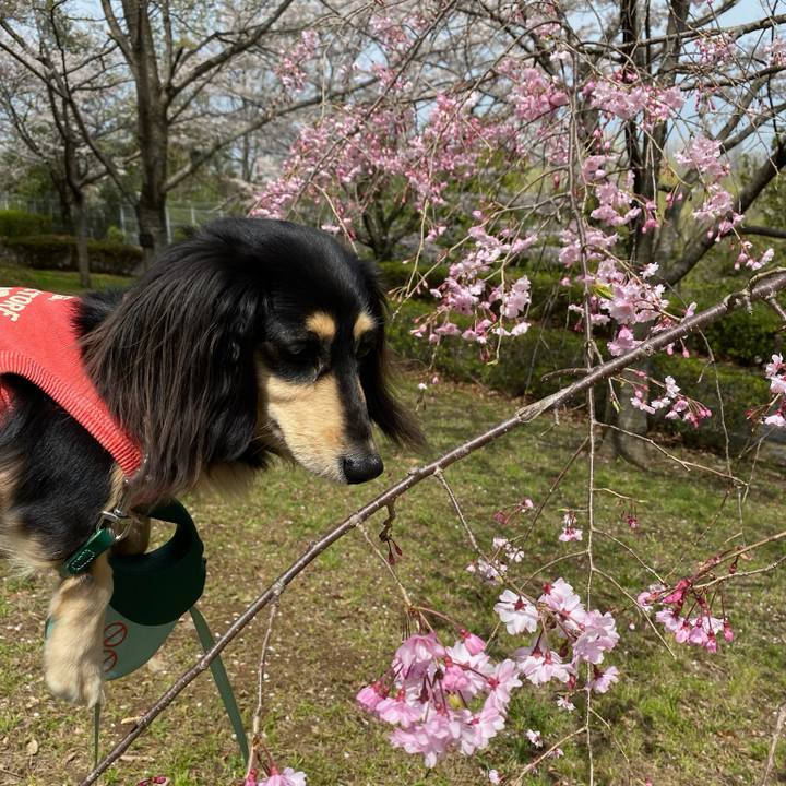 C305a04d f350 4734 b3c2 6f72bba89e6c 1712497693283