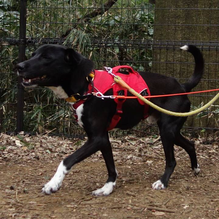 C3060980 75a3 4447 9abd 2b77d40096f1 1583544005076