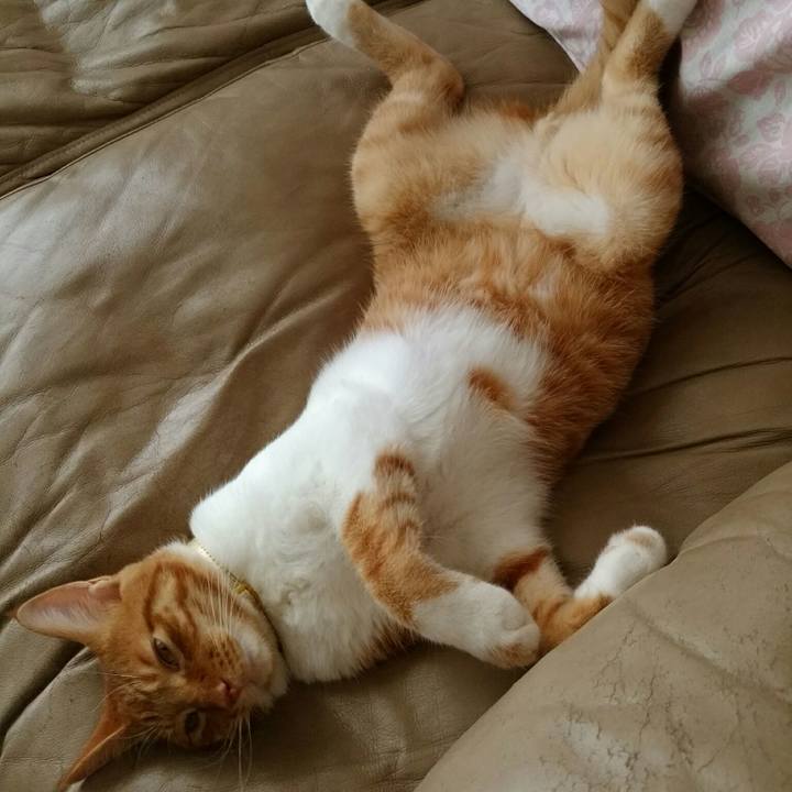 C306484c 8f62 4eae ac29 28063b9a6b53 1563439398468