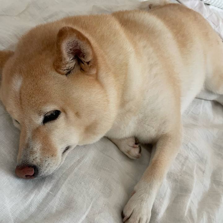 C3064899 8068 4e73 a9ad 558c6ce9cf60 1723506248332