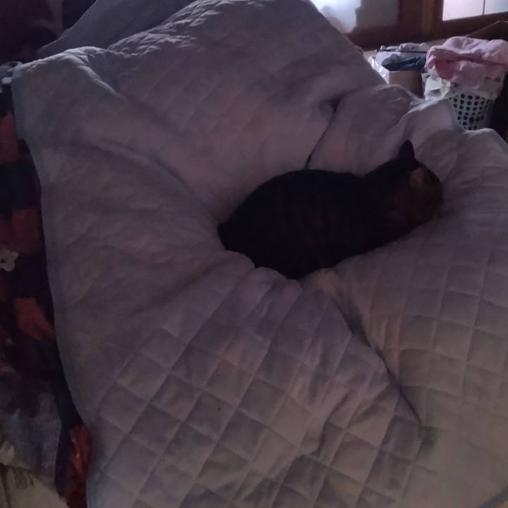 C3066789 c887 453d a428 10e7d15f04f3 1712441450949