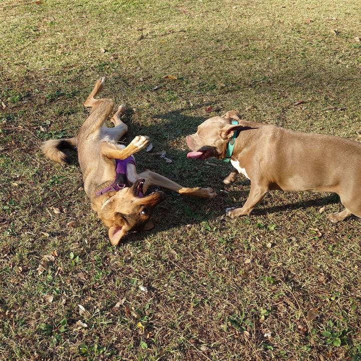 C30673f7 a7a6 441c 84f6 eac502c5ec5d 1732324023162