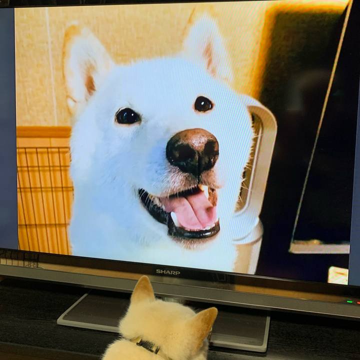 C3068e70 9b8e 4058 a476 90c506e2323d 1593118983224