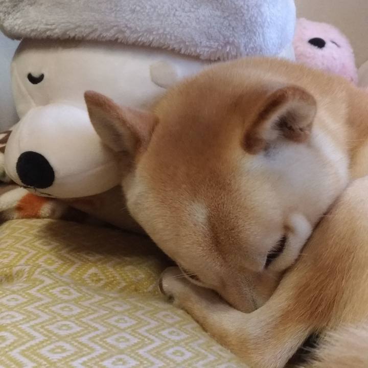 C306935b f714 4bb0 b2d7 3b2d4c16d38c 1544768637197