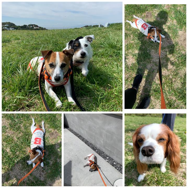 C306a8c4 1021 4fb8 be2e 1dcbb5763cd9 1587605046368