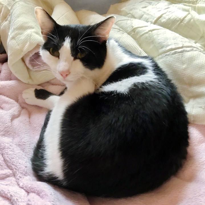 C306bd7d 4fa6 407f a90b 86a3c782a107 1508635422351