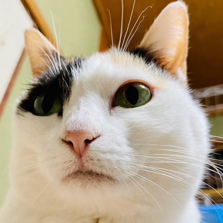 C306cf7e 5d86 47bf 96cd 8ba5da95688d 1611020242319