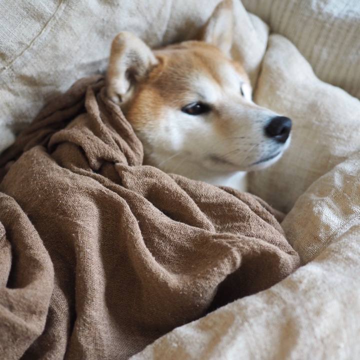 C3072cf2 5ee3 426b ae8d 48956ee3800c 1556958768493