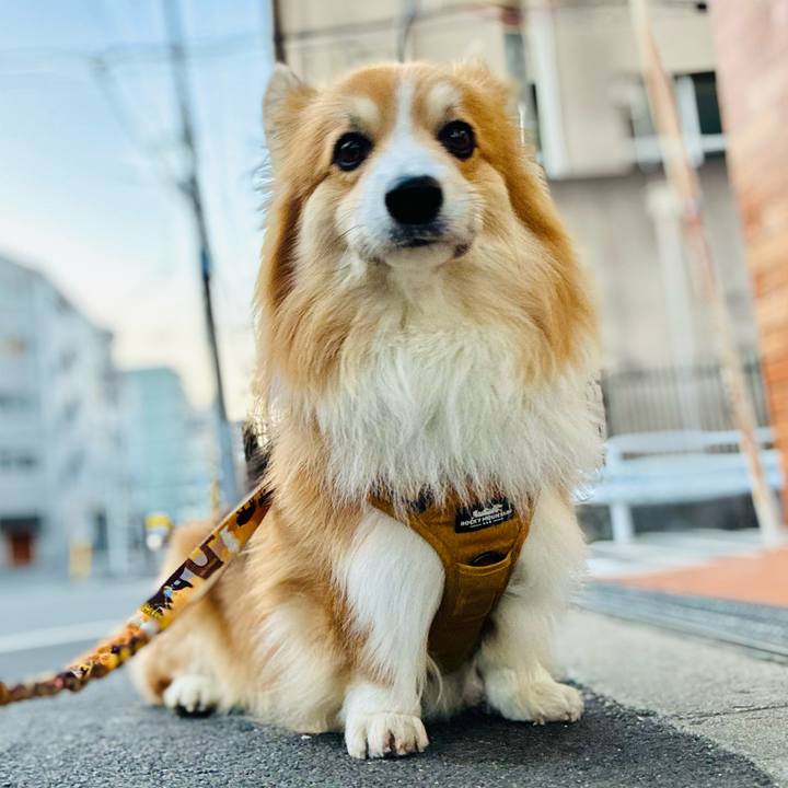 C3073fa1 bbf8 41b0 8758 3ba39cde0e2e 1768706009394