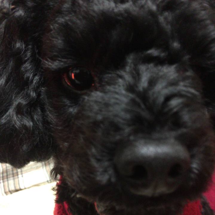 C3073fcc bcc6 496f bbc1 2a86e1a25e72 1514930815565